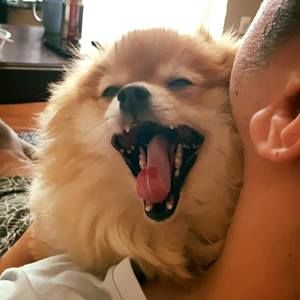 Meet your Posher, Yong sun